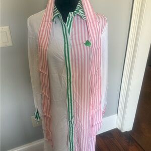 Striped Pink and Green Button-Up shirt dress